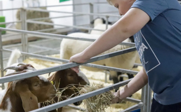 BRDE apoia AgroPonte 2025 e fortalece o desenvolvimento do agronegócio em SC