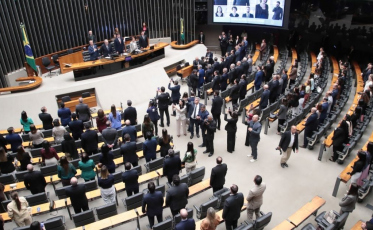 Eleições 2026: entenda a diferença entre deputado federal e deputado estadual