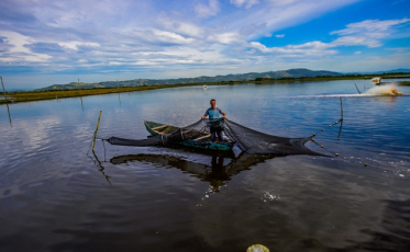 Camarão de Laguna tem identidade fortalecida através de Indicação Geográfica