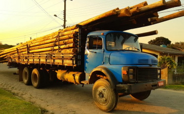 Caminhoneiro sem habilitação e carregando madeiras em excesso