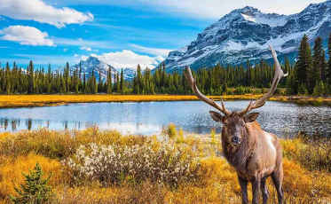 7 curiosidades sobre o Canada