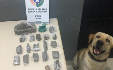 Cão Marley encontra drogas em Criciúma 