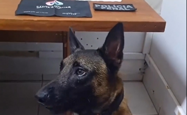 Araranguá: PM encontra drogas em ônibus que transportava detentos para serviço externo