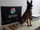 Araranguá: com auxílio do cão Argo, PM apreende maconha e cocaína em terreno baldio