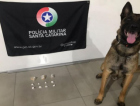 Com ajuda do cão policial, PM apreende cocaína e crack em Araranguá