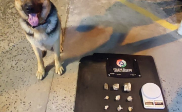Cão farejador da PM encontra crack, cocaína e maconha em Criciúma