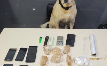 Criciúma: PM apreende mais de 800 gramas de drogas em terreno baldio