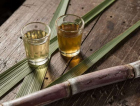 Cachaça catarinense segue em ascensão 