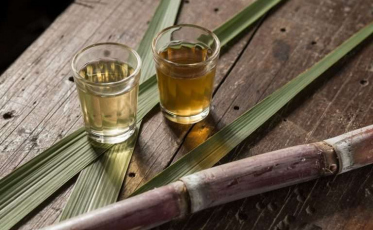 Cachaça catarinense segue em ascensão 