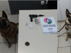 PM apreende crack e arma com auxílio de cães
