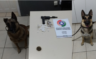 PM apreende crack e arma com auxílio de cães
