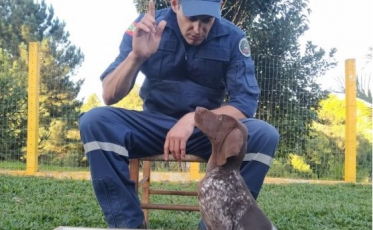 Bombeiros ganham o auxílio de duas novas raças de cães