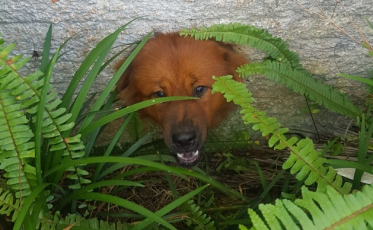 A complexa rotina dos leituristas em Araranguá