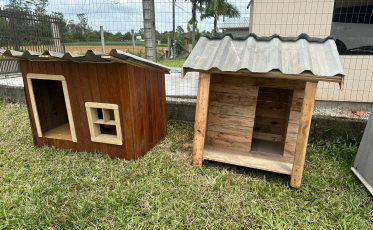 Casinhas para cães de rua serão fabricadas por detentos da Penitenciária Sul