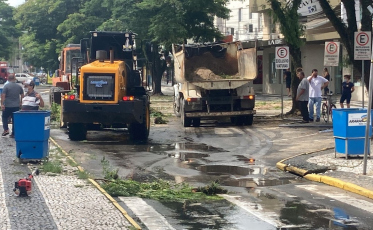 Revitalização do calçadão: Prefeitura de Araranguá inicia corte de árvores