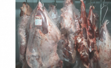 Mais de uma tonelada de carnes é apreendida em comércios de Capivari de Baixo