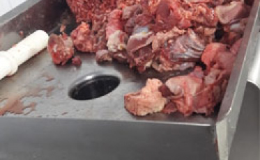 Frigorífico é suspeito de misturar carne de cavalo no preparo de hambúrgueres