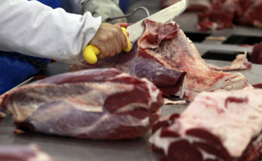 Santa Catarina amplia exportações de carne bovina