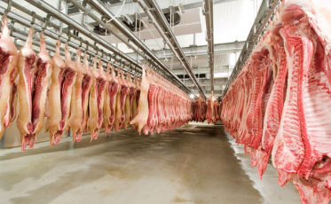 ((Áudio)) SC é o maior exportador de carne suína do Brasil