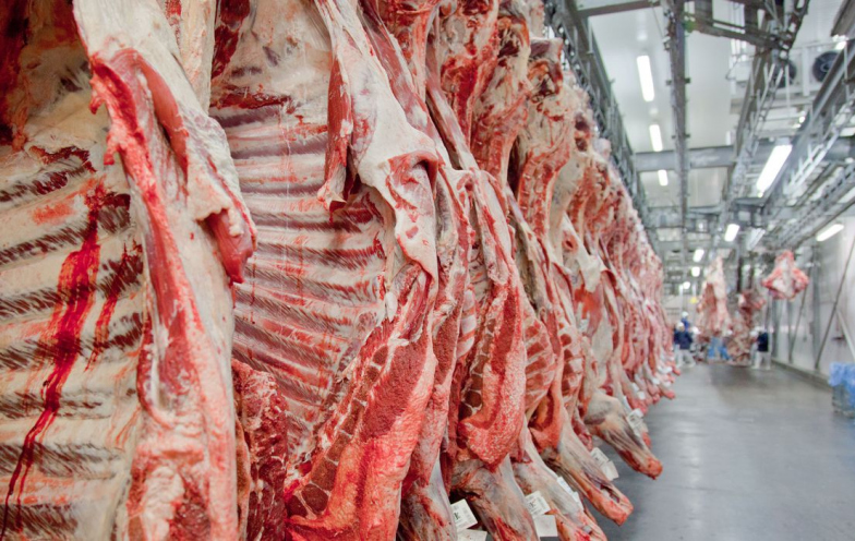 Bloqueio europeu à carne brasileira pode afetar Santa Catarina?
