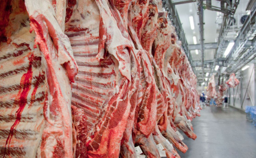 Bloqueio europeu à carne brasileira pode afetar Santa Catarina?