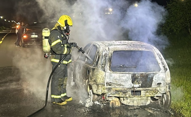 Carro fica destruído por incêndio às margens da BR-101, em Maracajá