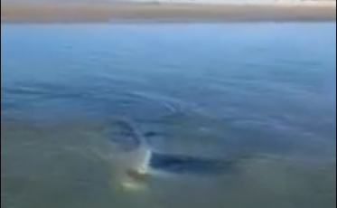 Carro amanhece afundado na Barra do Torneiro