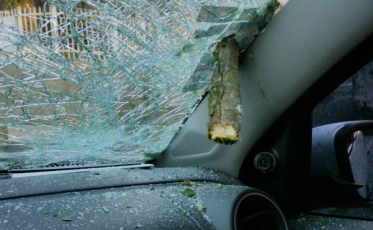 Na região, até um carro foi acertado por árvore (VÍDEO)