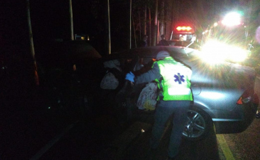 Carro bate em árvore. Nenhum ferido