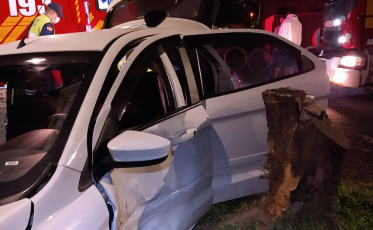 Um ferido após bater carro em árvore