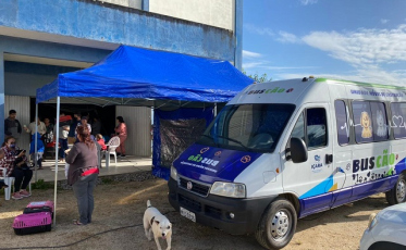 Serviço de castração móvel atendeu 33 cães e gatos