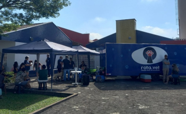 Forquilhinha chega a 700 animais castrados em mutirões