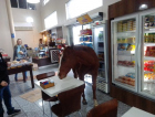 Cavalo invade panificadora em Criciúma
