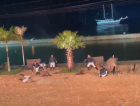 Cena de ator laçado e arrastado por cavalo na Tomada de Laguna assusta público (VÍDEO) 