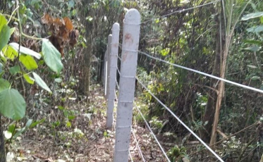 Ambientalistas preparam ato de aniversário do fim do Morro do Céu
