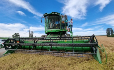 Santa Catarina dá início à colheita de cereais de inverno