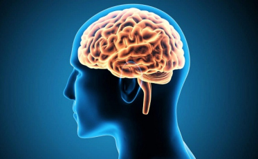 “Existe a pandemia sanitária e a pandemia de saúde mental”, diz neurologista