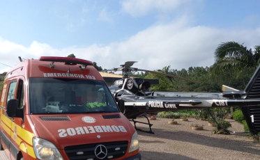 Ao colher frutas em árvore, mulher sofre queda de 4m de altura e é hospitalizada 