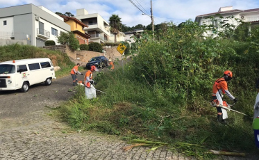 Criciúma Limpa: Saiba como denunciar terrenos baldios que precisam de limpeza