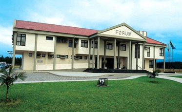 Justiça determina que cães vítimas de maus tratos no Sul do estado podem ir para lares provisórios