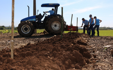 Cooperja investe em arborização de seu Campo Demonstrativo