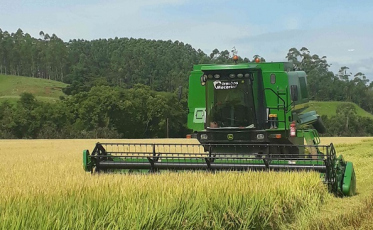 Cooperja comemora resultados positivos