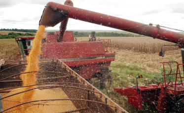 Produção agropecuária do Brasil alimenta 1 bilhão de pessoas no mundo