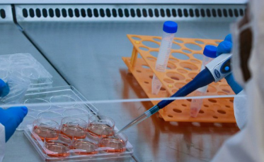 Pesquisadores apoiados pela Fapesc apresentam projetos para Secretaria da Saúde