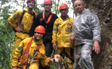 Cachorro é resgatado pelo Corpo de Bombeiros após cair de altura de 20 metros