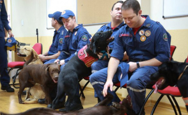 Corpo de Bombeiros de SC reunido após mais de 50 dias em Brumadinho