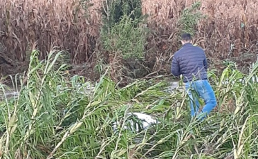 SC: Sobe para três o número de mortes por causa da chuva