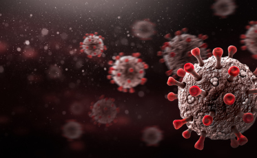 Covid-19: Anvisa recomenda restrição de voos devido à nova variante