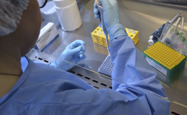 Covid-19: 12 mortes e mais 4,8 mil casos em SC