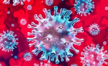 Covid-19: Arroio do Silva confirma mais nove casos 